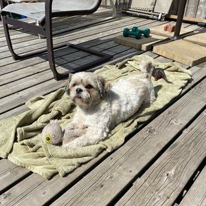 Meet your Posher, Oksana